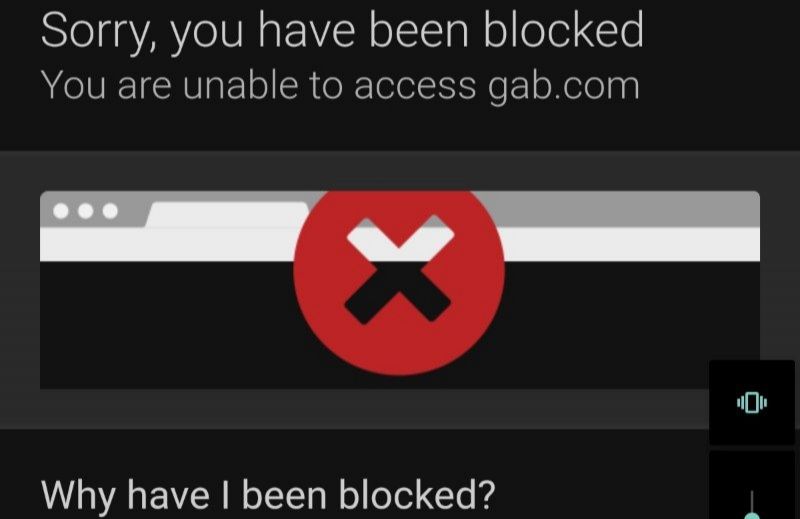 Cenzura UE lovește: Rețeaua de liberă exprimare Gab.com a fost blocată în România și alte state membre. FOTO EXCLUSIV